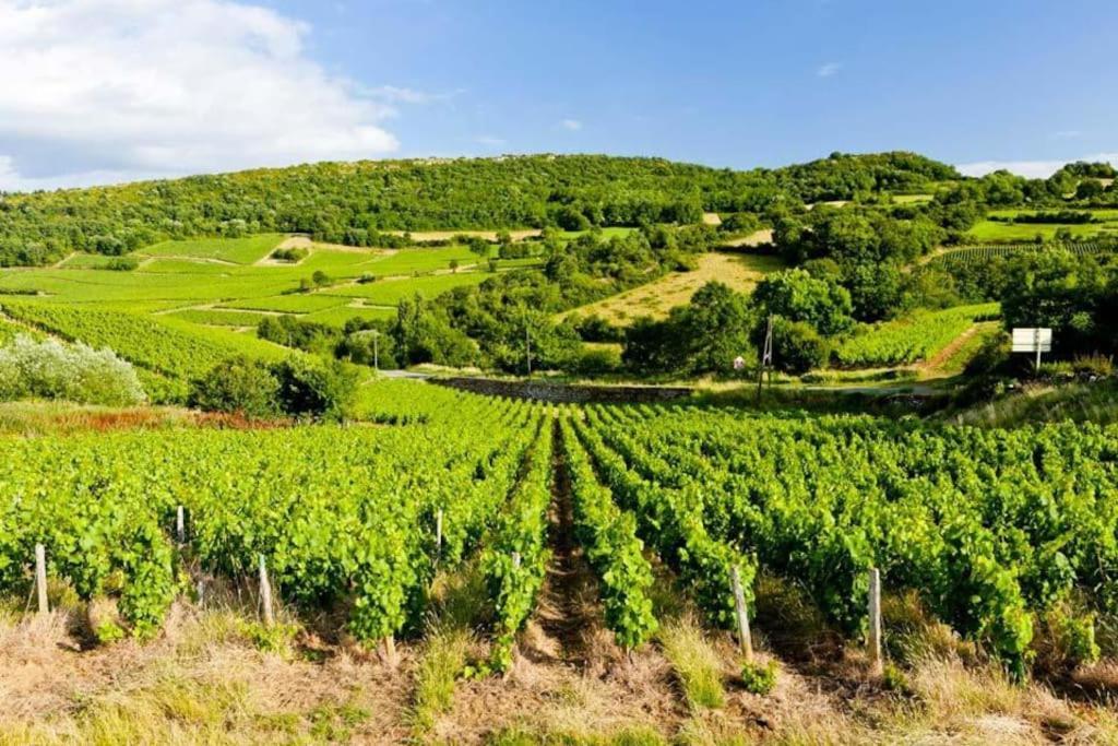 Le Chardonnay - Locationtournus Lägenhet Exteriör bild